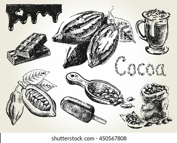 Hand drawn set of cocoa elements. For coffee house, restaurant menu. Chocolate ingredient. Elements are isolated.  Vector illustration.