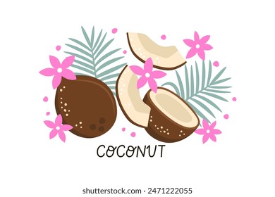 Conjunto dibujado a mano de cocos, hojas de palma, flores tropicales. Ilustración vectorial