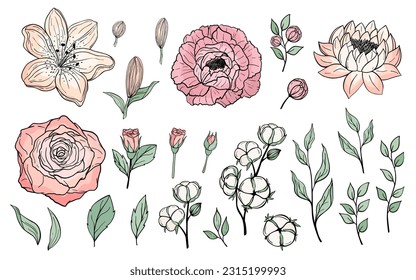 Hand drawn set of colorful flowers, branches with leaves. Peony, rose, lily, lotus, cotton elements. Floral summer vector collection. Decorative doodle sketch illustration isolated on white background