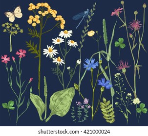 Marco dibujado a mano con hierbas coloridas y flores en un fondo oscuro