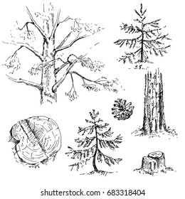 Hand drawn set of coniferous trees. Sketch, vector illustration.