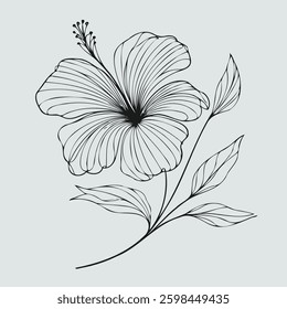 Hand drawn set of contour spring flowers hibiscus, line art floral drawing, leaves drawing, black and white botanical illustration Chinese rose, decorative elements of plants stylized