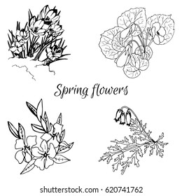 Hand drawn set contour spring flowers. Vector illustration.