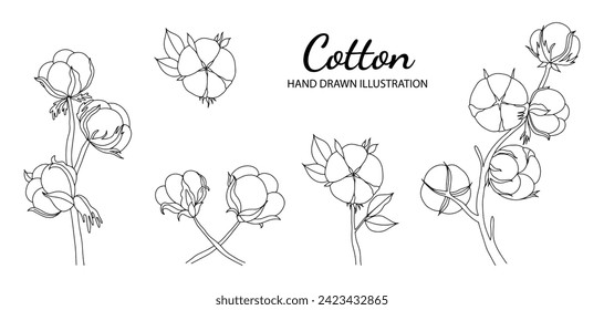 Juego de ramas de algodón dibujado a mano. Flores de algodón. Arte botánico aislado de fondo blanco. Ilustración del vector