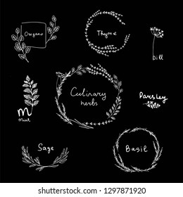 Hand drawn set of culinary herb. Basil and mint, rosemary and sage, thyme and parsley. Food design logo elements