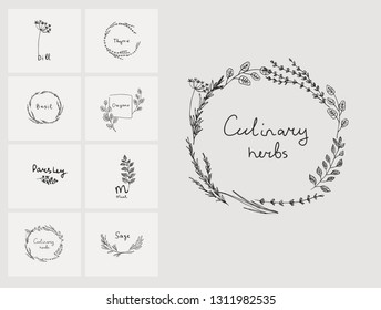 Hand drawn set of culinary herb. Basil and mint, rosemary and sage, thyme and parsley. Food design logo elements