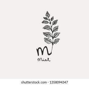 Hand drawn set of culinary herb. Basil and mint, rosemary and sage, thyme and parsley. Food design logo elements