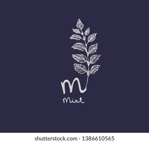 Hand drawn set of culinary herb. Basil and mint, rosemary and sage, thyme and parsley. Food design logo elements