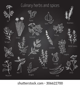 Hand drawn set of culinary herbs and spices. Vector illustration.