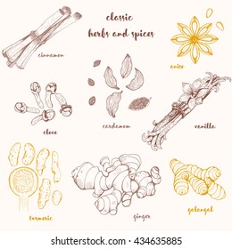 Hand drawn set with culinary herbs and spices. Sketch vector illustration.