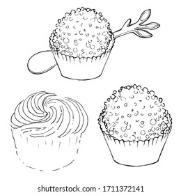 Hand drawn set of cupcakes, sketch style vector illustration isolated on white background. Realistic hand drawing of group of muffins