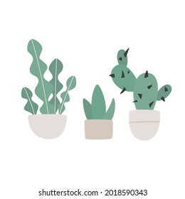 Hand drawn set of cute aloe vera, сactus and succulent plants growing in pots. aloe in pots. Houseplant pot vector illustration. Modern illustration in modern style.