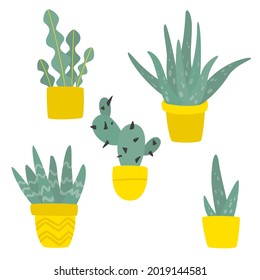 Hand drawn set of cute aloe vera, сactus and succulent plants growing in pots. aloe in pots. Houseplant pot vector illustration. Modern illustration in modern style.