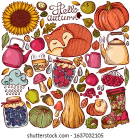 Hand drawn set of cute autumn elements. Fall season vector сollection of drawing elements for web, cards, set of stickers, prints, decorations for the autumn holidays. Isolated on white background