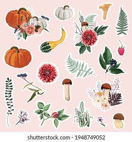 Hand drawn set of cute autumn pictures: pumpkin, mushrooms, leaves, flowers etc. Isolated icons, stickers.