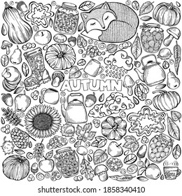 Hand drawn set of cute fall season elements. Autumn collection of drawing elements for web, cards, set of stickers, prints, decoration. Isolated on white background. Vector illustration