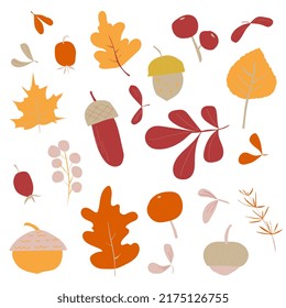 Hand drawn set of cute fall season elements fall leaves,acorns , harvest. Autumn collection of drawing elements for web, cards, set of stickers, prints, decoration