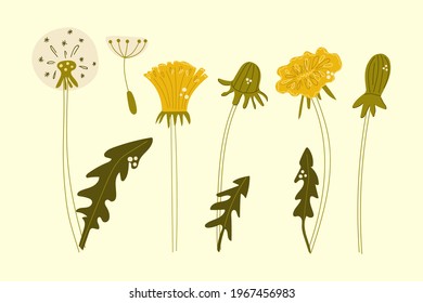 Hand drawn set of dandelion flowers. Flat illustration.