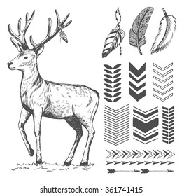 hand drawn set of deer, feathers and arrows 