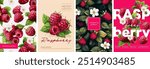 Hand drawn set of designs and patterns. Vectorized gouache illustrations. Illustrations of sweet raspberry with flowers and leaves for poster, prints, menu, card or textile