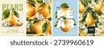 Hand drawn set of designs and patterns. Vectorized gouache illustrations. Illustrations of yellow pears with flowers and leaves for poster, prints, menu, card or textile