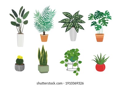 Hand drawn set of different green plants in pots. Home decor, cozy plant, botanical leaves. Decorative floral art collection isolated on white background. Colorful greenery vector doodle illustration