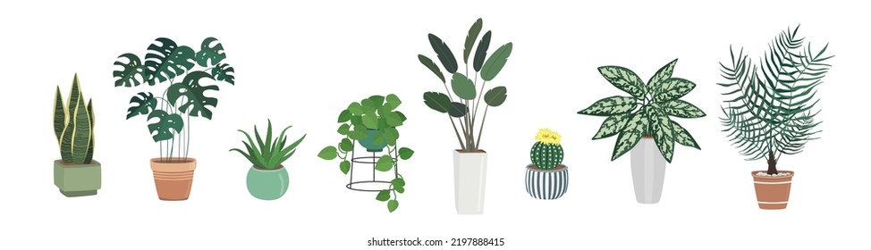 Hand drawn set of different green plants in pots. Home decor, cozy plant, botanical leaves. Decorative floral art collection isolated on white background. Colorful greenery vector doodle illustration