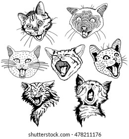 Hand Drawn Set with different Heads Cats.