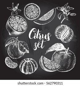 Hand drawn set of different kinds of citrus fruits.Food elements collection for design, Vector illustration. Poster on the chalkboard.