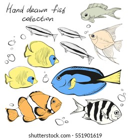 Hand drawn set of different tropical fishes on white background. vector illustration