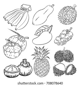  Hand drawn set of different tropical fruits with papaya, mango, pineapple, coconut, mangoesteen, durian, rambutan and langsat. Vintage hand drawn sketch, vector illustration. Linear graphic.