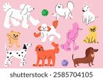 Hand drawn set with dogs. Different breeds. Modern isolated vector illustration.