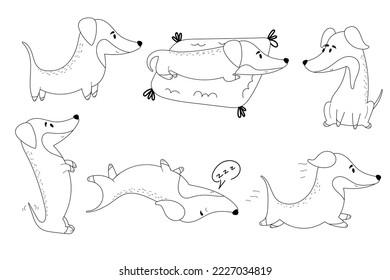 Hand drawn set of dogs in different poses and Different Situations.Cartoon cute dachshund
