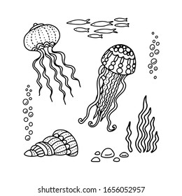 Hand drawn set doodle decorative black  vector illustration ammonite, medusa, octopus, seashell, seaweed, fish,  isolated on white background. Sea life design for child coloring book, page, card