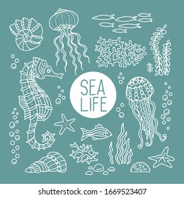 Hand drawn set doodle decorative white  vector illustration ammonite,medusa, seashell, seahorse, coral, fish, fishstar isolated on green background. Sea life design for child book, page, card, print