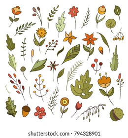  Hand drawn set of doodle decorative plants and flowers. Colorful floral elements. Vector Illustration.