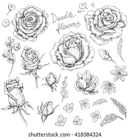 Hand drawn set of doodle flowers. Floral elements for decoration. Vector sketch.