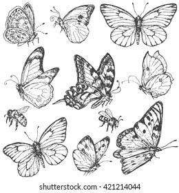 Hand drawn set of doodle insects. Monochrome image of flying and sitting butterflies and bees. Black and white elements for coloring. Vector sketch.