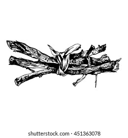 Hand drawn set of dry tree branches. Highly detailed ink art in engraved style