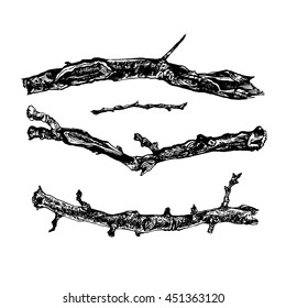 Hand drawn set of dry tree branches. Highly detailed ink art in engraved style