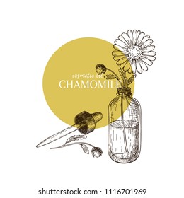 Hand drawn set of essential oil. Vector chamomile daisy flower. Medicinal herb with glass dropper bottle. Engraved art. Good for cosmetics, medicine, treating, aromatherapy, package design healthcare