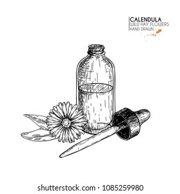 Hand drawn set of essential oils. Vector calendula flower. Medicinal herb with glass dropper bottle. Engraved art. Good for cosmetics, medicine, treating, aromatherapy, package design health care.