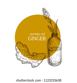Hand drawn set of essential oils. Vector ginger branch. Medicinal spicy herb with glass bottle. Engraved art. Food condiment. Cosmetics, medicine, treating, cooking, package design, food ingredient.