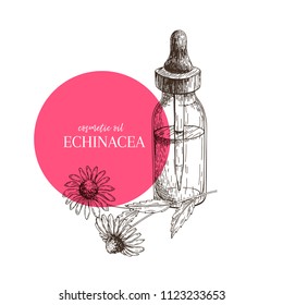 Hand drawn set of essential oils. Vector echinacea purpurea flower. Medicinal herb with glass dropper bottle. Engraved art. For cosmetics, medicine, treating, aromatherapy, package design healthcare.