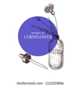 Hand drawn set of essential oils. Vector cornflower flower. Medicinal herb with glass dropper bottle. Engraved art. Good for cosmetics, medicine, treating, aromatherapy, package design health care.