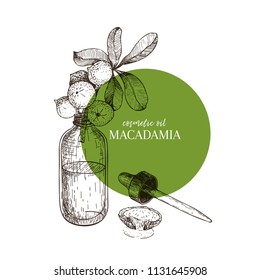 Hand drawn set of essential oils. Vector macadamia nut. Medicinal herb with glass dropper bottle. Engraved art. Good for cosmetics, medicine, treating, aromatherapy, package design health care.