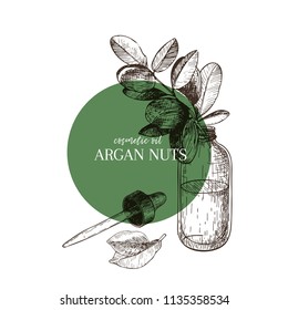 Hand drawn set of essential oils. Vector argan nut. Medicinal herb with glass dropper bottle. Engraved art. Good for cosmetics, medicine, treating, aromatherapy, package design health care.
