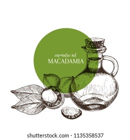Hand drawn set of essential oils. Vector macadamia nut. Medicinal herb with glass dropper bottle. Engraved art. Good for cosmetics, medicine, treating, aromatherapy, package design health care.