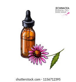 Hand drawn set of essential oils. Vector echinacea purpurea flower. Medicinal herb, glass dropper bottle. Engraved colored art. Ccosmetics, medicine, treating, aromatherapy, package design healthcare.