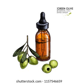 Hand drawn set of essential oils. Vector olive oil and branch. Medicinal herb with glass dropper bottle. Engraved colored art. Ccosmetics, medicine, treating, aromatherapy, package design healthcare